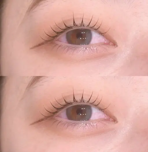 【1月限定クーポン‼︎】まつげパーマ+美眉毛ワックス脱毛(間引き込み)¥6600