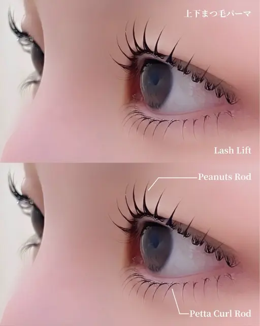 🌷平日限定価格【まつ毛パーマ】