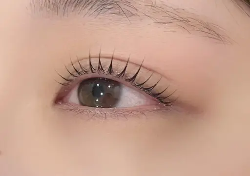 【 水.日曜日限定 】 💗『 新規様 』相談OK🎀 まつ毛パーマ or パリジェンヌラッシュリフト👁✨