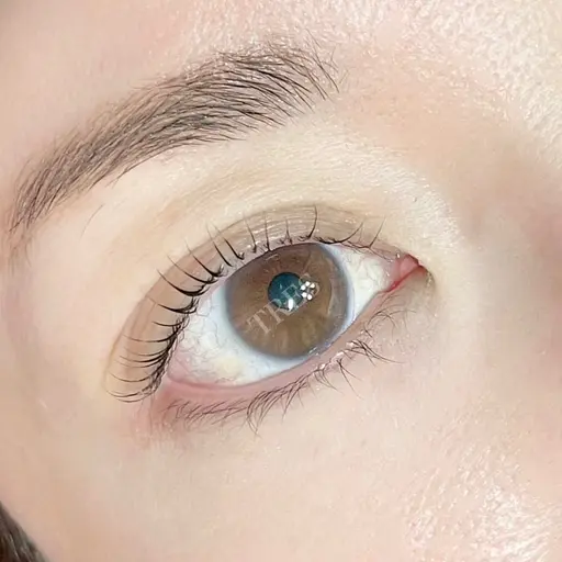 美トレスラッシュリフト　コーティング付