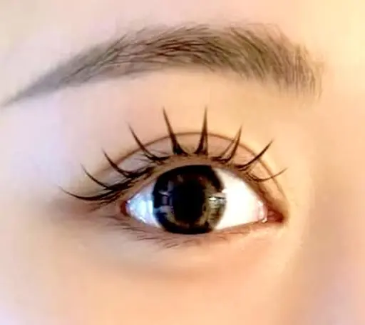 1/10限定！ラッシュアディクト美容液＋フラットラッシュ６０本まで\11000