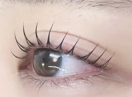 シングル120本🫧オフ(リピーター様はオフ代現金¥800)有はメッセージ下さい💚リペア不可🐩