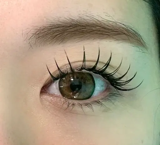 特別価格 🚨2/1～3/31限定マツエク 80本【オフなし】3800円⇒2200円お一人様一回までとさせて頂きます