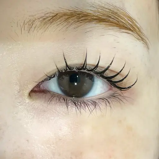 🫧当日限定🫧コーティング剤付きまつ毛パーマ