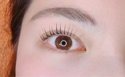 ⛄️Winter sale⛄️フラットラッシュ160本まで付け放題👀