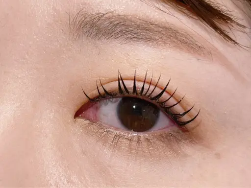 本日限定‼️根本立ち上げラッシュリフト✨束コーティングset