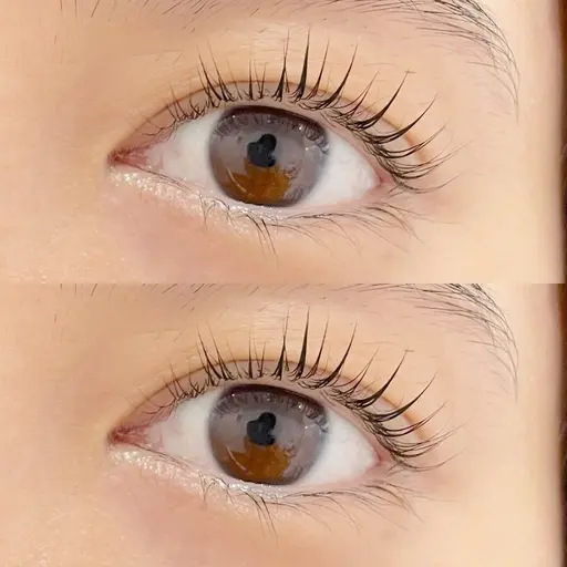 【年末大感謝】まつ毛パーマ＋アイシャンプー＋ラッシュアディクト