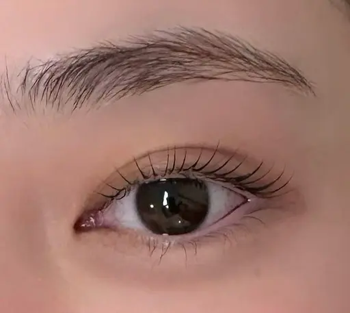 パリジェンヌラッシュリフト※オフなし