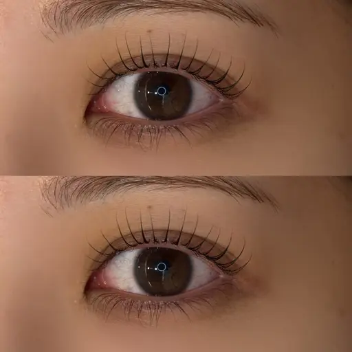 🐈⬛1日1名様限定‼️ \まつ毛パーマ🫧無料モデル🚠ご予約はリクエストから📩