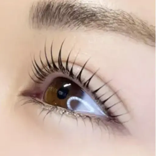 当日限定【コーティング無・オフ無】 ¥7980→¥2980上まつげパリジェンヌorまつげパーマ