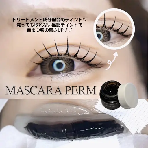 \ 🖤大好評マスカラパーマ🖤 /ブラックティント➕まつ毛パーマ➕アイシャンプー🧴【 韓国風束感仕上げ 🪄】