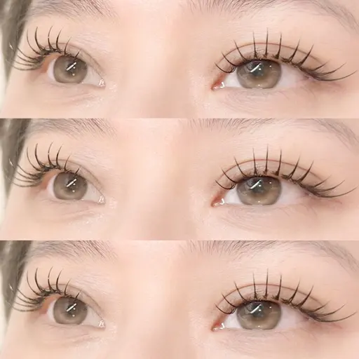 𝐧𝐞𝐰 𝐨𝐩𝐞𝐧🕊️フラットラッシュ120本🤍ྀི