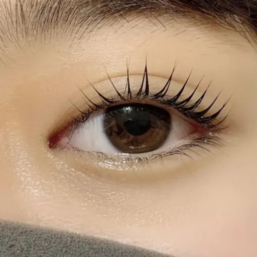 【一重の方限定】【28日のみ】まつげパーマ