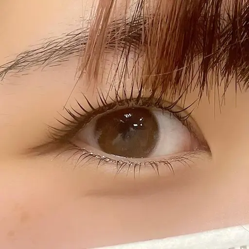 上下パリジェンヌラッシュリフト🎀✨105分🕑