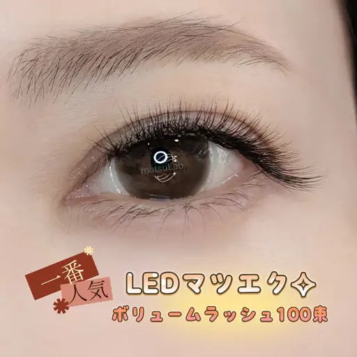 【1番人気】LEDマツエク✧︎ボリュームラッシュ計100束(300本)【初回割引】