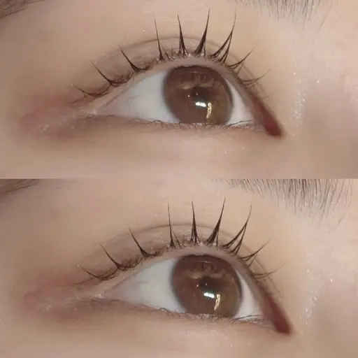 ミニモ限定‼️ラッシュリフト⭐️アイシャンプー＆コーティング剤付き❤️