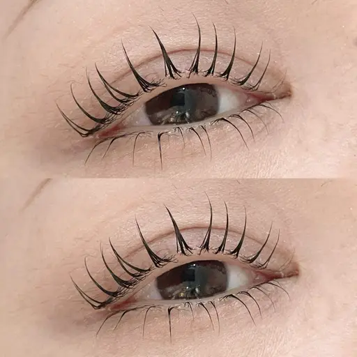 【当日限定⟡.· 】韓国式マスカラパーマ🥨 / アイシャンプー+美容液コーティング付 🫧🪞