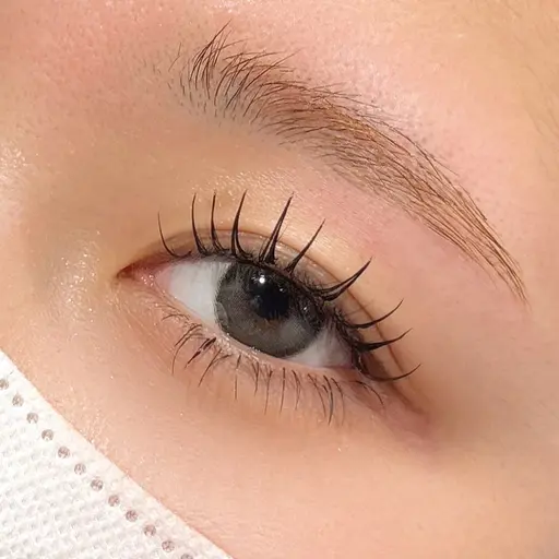 🌟期間限定🌟ブリスラップ(シングルよりも濃さが欲しくて束感が好きな方におすすめ🤍🕊)100束