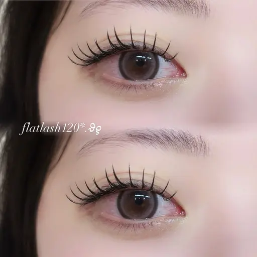 オフあり　フラットラッシュ120本