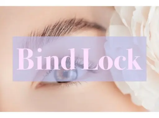 バインドロック120本（60束）