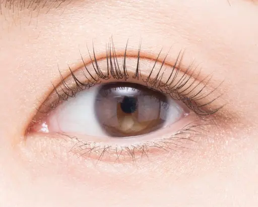 練習モデル🧡パリジェンヌ・マツゲパーマ🧡