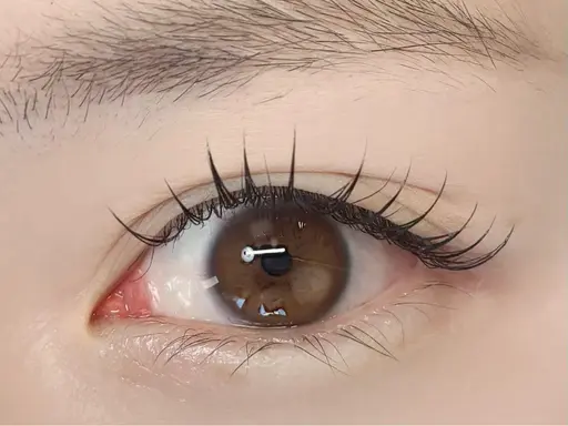 【当日予約限定】フラットラッシュ100本