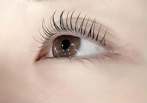 まつげパーマ（上まつげ）✨7種類のカールから選べます！トリートメントコーティング仕上げ✨