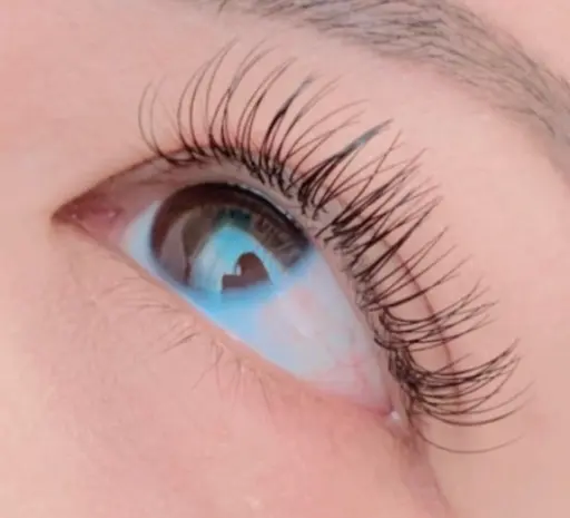 【ご新規様オフ無料】フラットマットラッシュ付け放題/本数上限なし