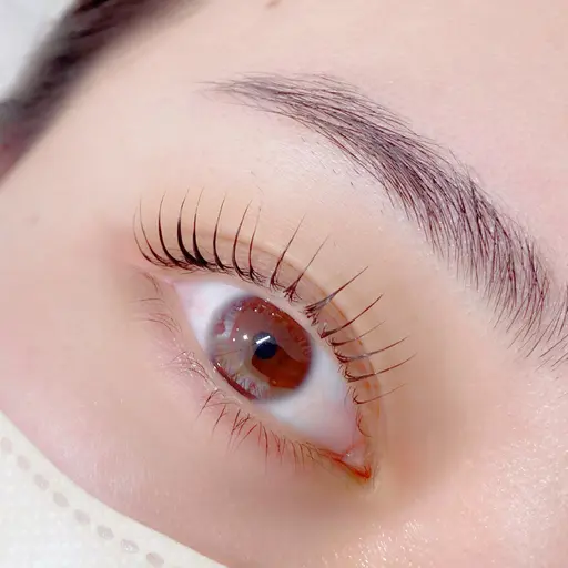 【限定価格】ラッシュリフト(コーティング・アイシャンプー付き🫧)