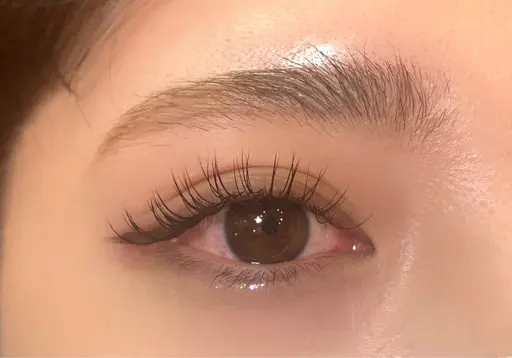 ✨️12/25 13:00 ボリュームラッシュ 300本✨（ リクエスト募集のみ ）