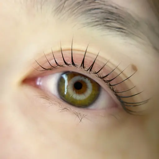 ［平日限定］ご新規様価格/韓国風束感まつ毛パーマ