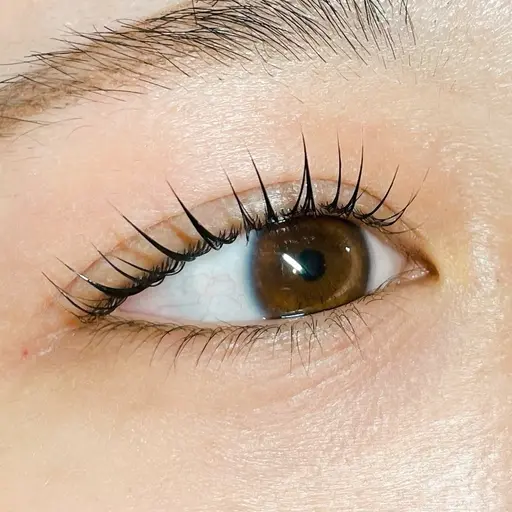 パリジェンヌラッシュリフト🖤専用TR付き