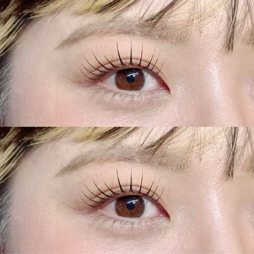 2/28限定◎パリorラッシュリフト