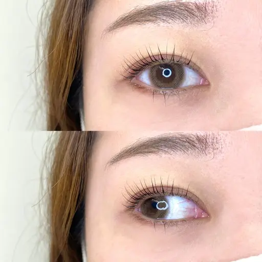 パリジェンヌラッシュリフト上下