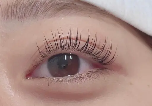 パリジェンヌ風💜ラッシュリフト(コーティング付)💜新規様→3900円リピート様4500円