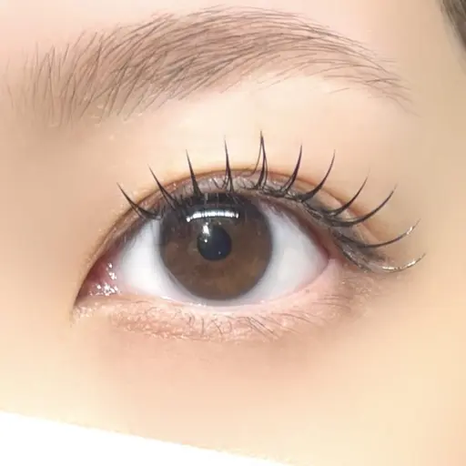 【2/23(月祝)19:00マツエクモデル募集中❕🪽】Jカール80p限定募集✨