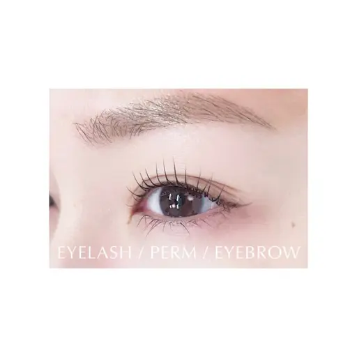 🪽アイブロウWAX モデル様募集🪽 1/17  土曜日 15時​〜​  ⚠️先着順⚠️注意事項必須⚠️