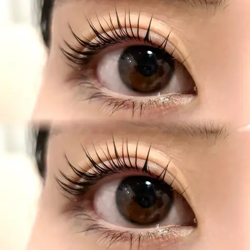 当日限定˚✧₊⁎パリジェンヌラッシュリフト⁺˳✧༚🎀モデル🎀【所要時間90分】