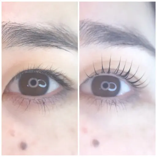 まつ毛パーマ¥6,600