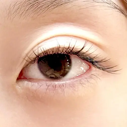 3月末までオフなしマツエクモデル100本まで🌸