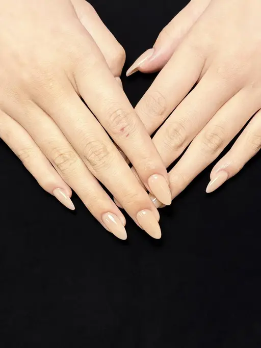 チップ長さ10本+500色マグネット/ワンカラー/ラメ（オフ别料金）