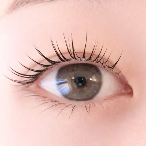 🌼平日限定🌼【パリジェンヌorデザインラッシュリフト🎀】美容液コーティング、お持ち帰りブラシ付き🪄︎︎✨