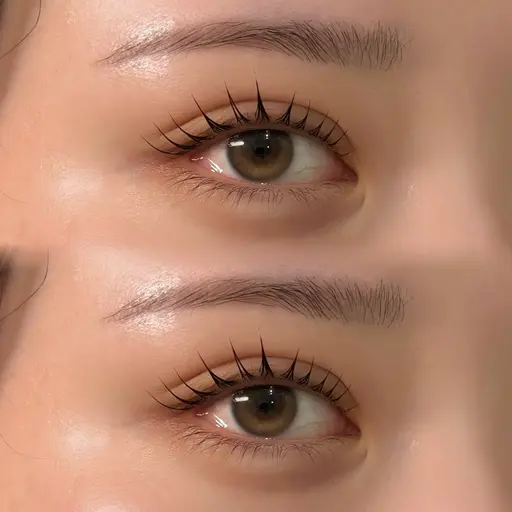 《🍒12月限定🍒》ラッシュリフトorパリジェンヌ  TR付き🎀💕