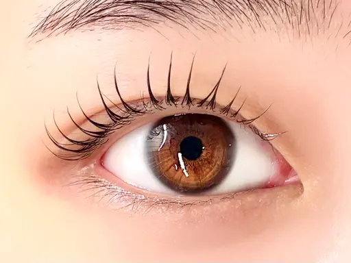 【12月限定】韓国風　束感まつ毛パーマ🫧《アイシャンプー＆美容液コーティング込み》