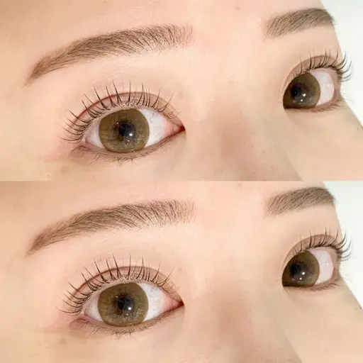 〈TR付き〉パリジェンヌラッシュリフト