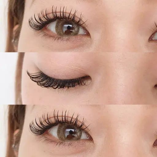 💖限定価格💖🩵3Dレイヤーボリュームラッシュ100束🩵(オフなし)