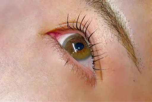 🔰2/24 9:00~11:00~ 13:00~限定🦋バインドロック60束×アンドヘルシー