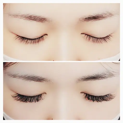 【オフあり】ダブルフラット　100束