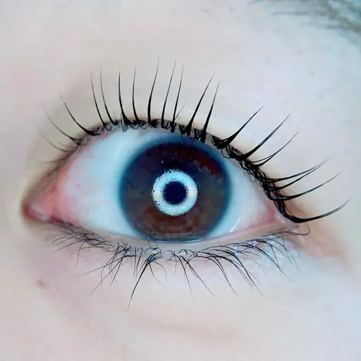 アイリストデビュー応援価格📣【1月のみ】