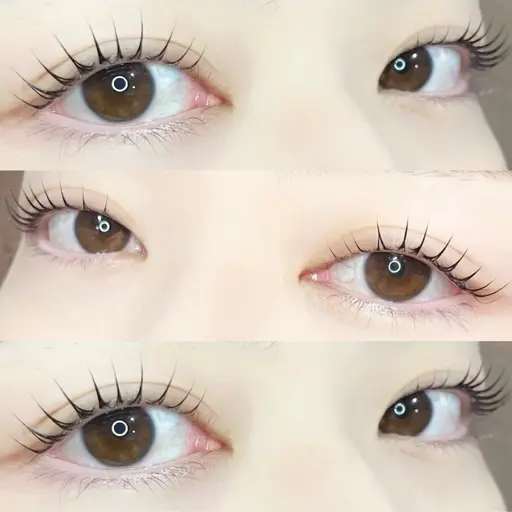 《韓国発🇰🇷》マスカラパーマ風パリジェンヌ×黒染めテイント仕上げ 🇰🇷(ơᴗơ｡)